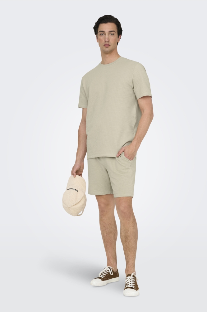 ONSKIAN LIFE REG SEERSUCKER SS TEE 22028692 SILVER LINING